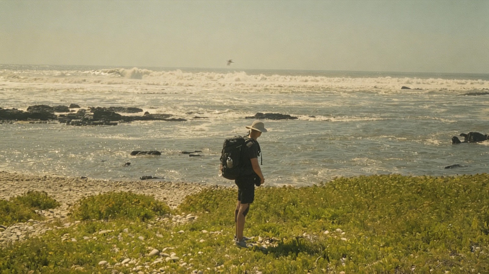 a frame from the camino de santiago